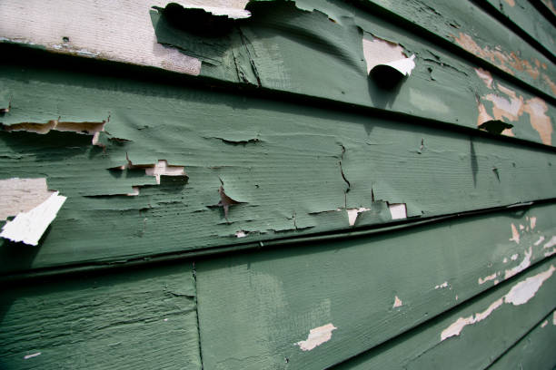 Best Custom Siding Design  in Easton, CA
