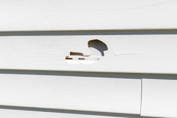 Best Siding for Multi-Family Homes  in Easton, CA