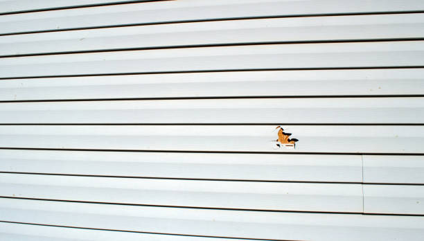 Best Siding for New Construction  in Easton, CA