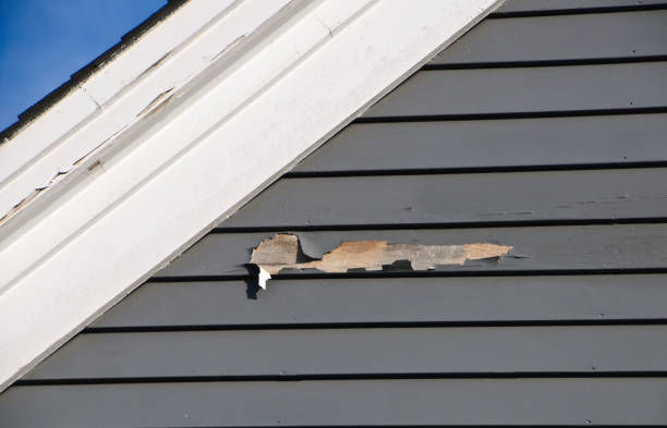 Best Brick Veneer Siding  in Easton, CA
