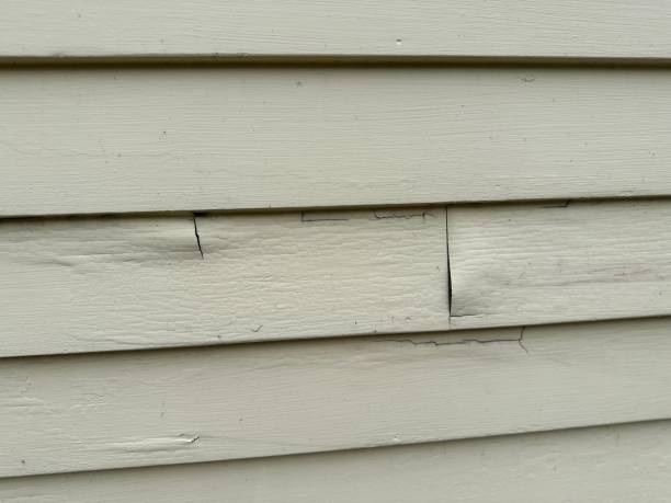 Professional Siding Installation & Repair in Easton, CA